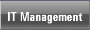 IT Management