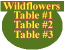 Wildflower Table Selector